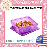 Tupperware B2B Snack Stor