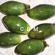 buah pinang muda atau Jambi  obat herbal 500 grm