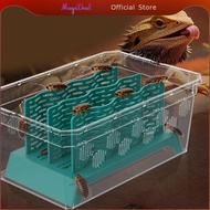 [MagiDeal] Reptile Food Cup Organizer Gecko Ventilated Bearded Dragon Accessories
