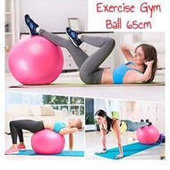 Exercise Gym Ball 65cm