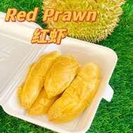 Special Exclusive Premium Quality Fresh Red Prawn Durian