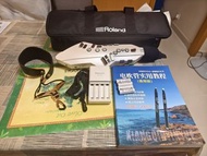 Roland Aerophone Pro AE05C