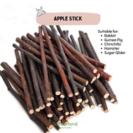 Apple Stick/Apple Branch Molar Stick/Chew Stick Toy 100g [Rabbit, Guinea Pig, Chinchilla, Hamster, S