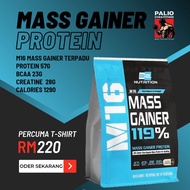 BS Nutrition M16 Mass Gainer Protein