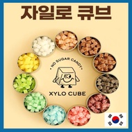 XYLO Cube Candy (70g) – No Sugar Xylitol Cube from Finland 🇫🇮 | 4 Flavors: Shine Muscat / Strong Coo