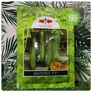 Paket 800 Seeds BATARA F1 East West Seed Biji Benih Timun Batang F1 Hybrid Cucumber Seeds Cap Panah 