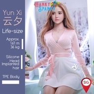 Ready Stock in SG JYDoll YUNXI 云夕 Life-Size, TPE  Body, Adult Male Sex Doll