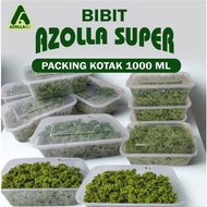 Azolla Super Premium Cup 1000ml Seeds - Animal Feed, Delivery Resistant, Ready to Cultivation