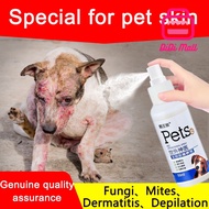 Pet skin disease  dog itchy skin medicine dog skin disease medicine dog medicine for skin dog spray 