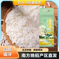 ⭐Ready Stock⭐ Green Treasure Gonggu Feng Collar Cat Teeth Fragrant Rice 0.5kg New Rice Boiled Rice S