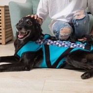 寵物輔助衣 後癱款 L號 高齡犬 行動不便 寵物輔具 協助行走