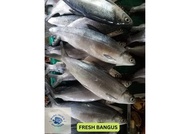 Fresh Bangus - 1kg