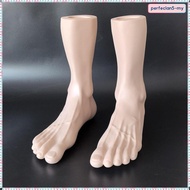 [PerfeclanabMY] Mannequin Feet Model Men Feet for Display Lifelike Shoes Display Props Men Shoe