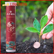 LINCHEIN Universal Boost Plant Growth and Health Home Gardening Bone Meal Fertilizer Stronger Roots Organic Fertilizer All-purpose Fertilizer Ease Plant Food Slow-Release Tablet