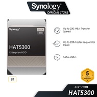Synology NAS Internal Hard Drive HAT5310 /HAT5300/HAT5320 SATA III 3.5 Enterprise Sata HDD Hard Driv
