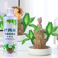 Brazilian Wood Nutrient Solution Special Type Water-Raised Lucky Wood Hydroponic Plant Flower Fertilizer Potted General Flower Fertilizer Indoor