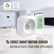 Motion Sensor Zigbee Static Mount Motion Detection Activated Appliances PIR Sensor