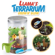 Light-up Animals Terrarium Kit for Kids STEM Educational DIY Science Toys Mini Llama/Dino/Unicorn Garden Animals Toys