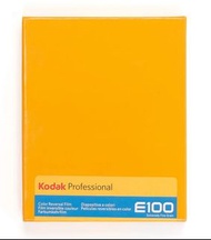 Kodak Professional Ektachrome E100 Color Transparency Film (4 x 5", 10 Sheets)