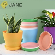 JANE Flowerpots with Tray Home&amp;Living Home Decor Gardening Tools Multicolor for Succulent Pots Tray