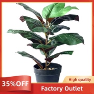 15 Inch Tall Fiddle Leaf Fig Tree Artificial Plants Fake Bonsai Factory Outlet