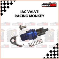 ☫ ◰ ∈ Racing monkey IAC VALVE/ ISC with lock included AEROX NMAX