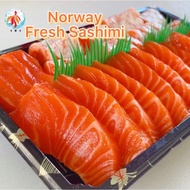 【Fresh Sashimi】 Norwegian Fjord Trout Salmon 三文鱼 生鱼片 刺身 From Norway   Allo Ha Seafood