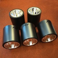 Surface mounted downlight