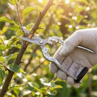 Hottome 3Cr13 stainless steel pruning shears, garden tools, fruit tree grafting scissors.