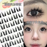 Omapo8 Row 48 Clusters Pure Desire Thick Style Cat Elf False Eyelashes Segmented Comic Eyes Little D