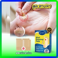 🍒 24แผ่น/1กล่อง แปะตาปลาา [ ของแท้ ]  Corn Removal Plaster  สำหรับ หุด ตาปลาา  และสถานะอื่นๆ ใช้ง่าย