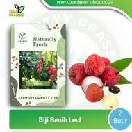 Benih Biji Bibit Unggil Leci Madu Merah - 2 Butir Biji Leci Madu Merah