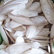 6pcs size 11cm Dried White Cuttlefish Bone Pure Natural Squid Shell Cuttlefish Bone