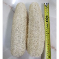 Natural Loofah/Luffa/Wash Dish/Body Sponge/Sabut Petola/天然丝瓜络/菜瓜布洗碗身体自家栽种