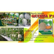 Best seller Melon Hibrida Quinza f1 20gr Original Rock Melon Melon