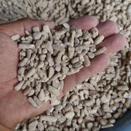 Coral Stone Coral Bone Batu Karang Bio Filter Media Aquarium Fish Tank 珊瑚石
