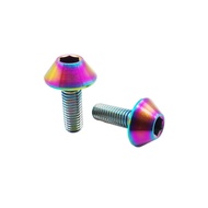 Gr5 TC4 Titanium Alloy Umbrella Head Screw Titanium Alloy Screw Titanium Screw