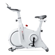 Magnetic Control Intelligent Spinning Home Indoor Exercise Bike Room Equipment Weight Loss Ultra-Quiet Sports Bicycle/Horse Riding Exercise Machine / Strengthen Muscle / Home Gym