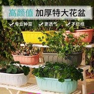 Flower Pot Panda Pot Rectangular Vegetable Planting Pot Long Strip Pot Vegetable Balcony Planting Box Thickened Resin Flower Pot Tray