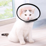 Anti Bite Protective Cone Collar for Cat Wound Healing /After Surgery Protective Cone Collar for Cat
