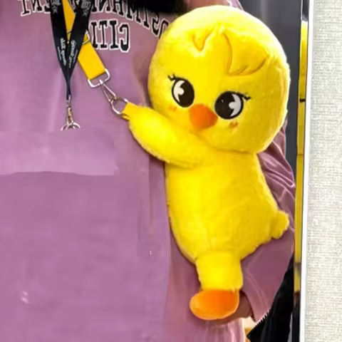 SKZOO Stray Kids idol bangchan felix Hyun Jin K-POP Seoul Anke pop-up crossbody bag children's and a