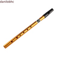 DANILO Irish Whistle Flute, 6 Hole Professional Ireland Flute, Musical Accessories Alloy Gift D Key 