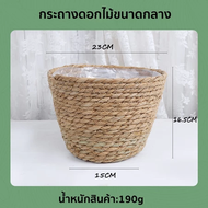 (พร้อมส่ง)ต้นโอลีฟ ต้นมะกอกปลอม ลำต้นสีน้ำตาลเหมือนของจริง พืชจำลอง 1.2/1.5/1.8m