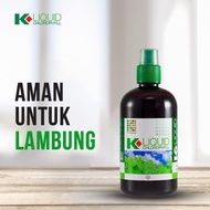 Liquid Chlorophyll K Link Klorofil K Link L Original Produk K Link