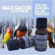 max gacor BIKIN BURUNG JADI GACOR SEKETIKA 10ML