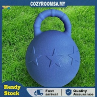 9.8 Inch Horse Game Ball Training Polo for Horses Stall Entertainment Play