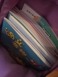 $20 環保價 書包 Disney Frozen II Elsa Purple Backpack for School