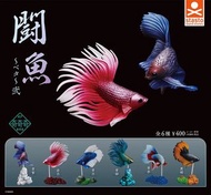 Stasto Stand Stones 微縮 闘魚 鬥魚 公仔 扭蛋 全6種