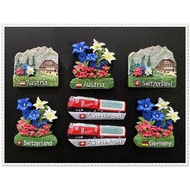 Creative Lovely Flowers Fridge Magnet ~ Switzerland / Germany / Austria
