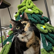 體驗活動 聖誕樹 聖誕樹窩 寵物窩 冰島毛線 (可使用文化幣)